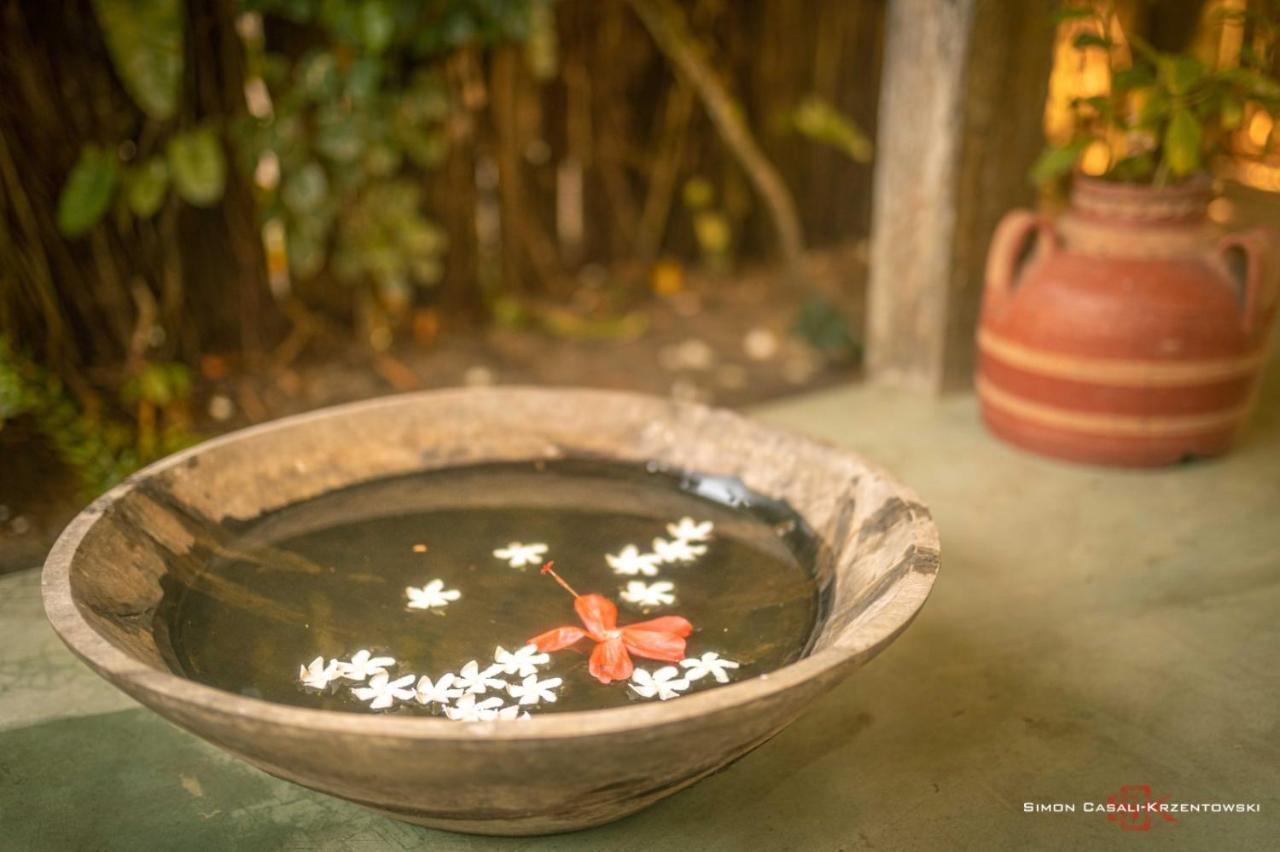 Oasis Estalagem