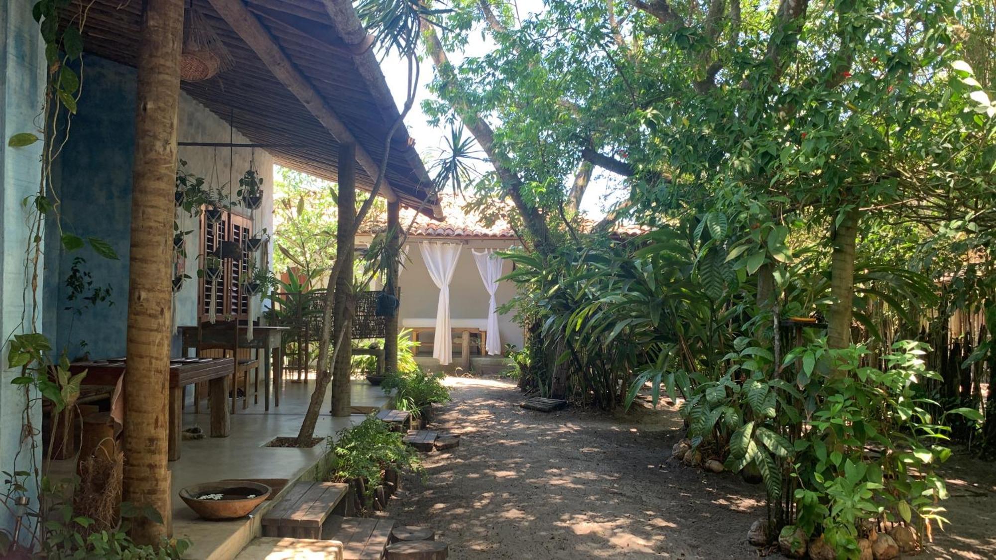 Oasis *