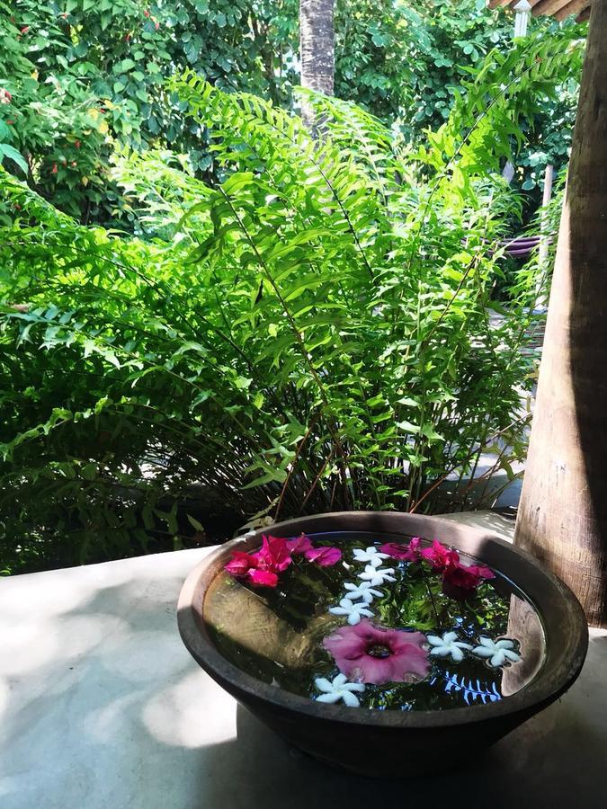 Oasis Estalagem